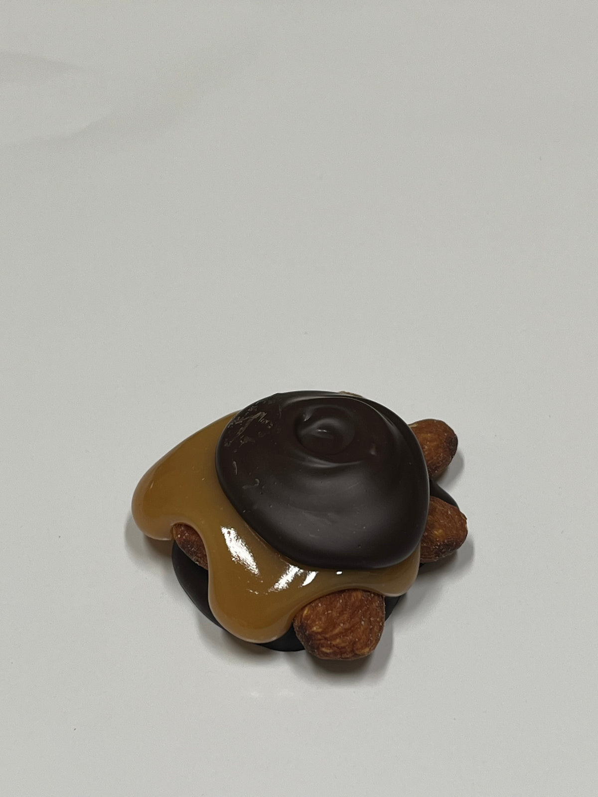 Special Dark Gourmet Chocolate Turtles